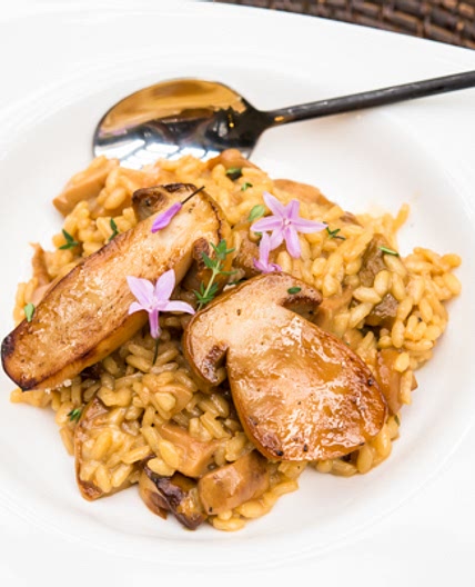 Porcini Risotto