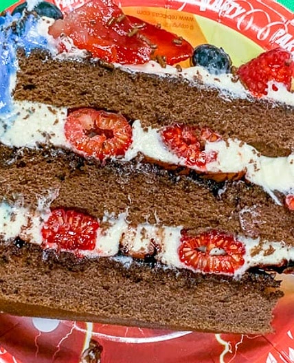 Chocolate Japanese Sponge