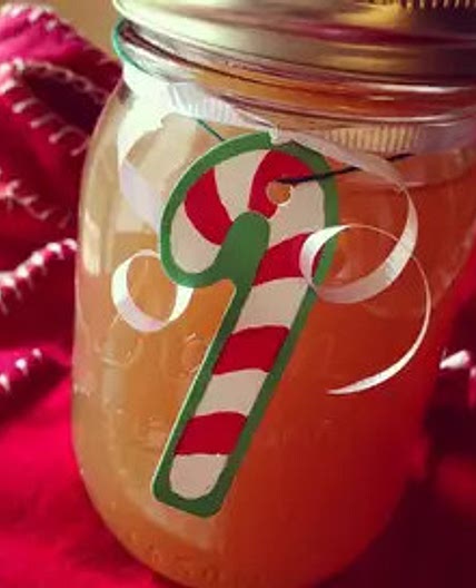 Grandma's Apple Pie Moonshine