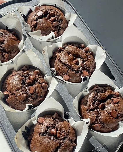 Double Chocolate Muffin