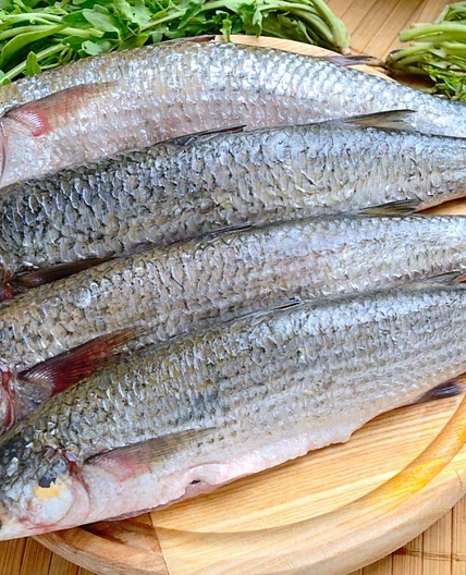 Smoked Mullet with Vegetable Rosti and Hollandaise Sauce.
