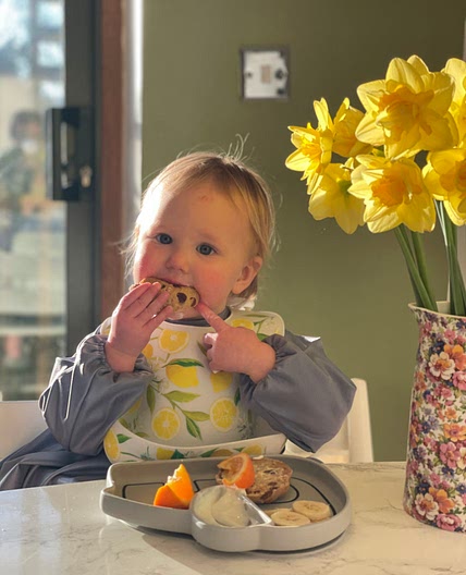 Carrot Cake Hot Cross Buns Recipe - SR Nutrition