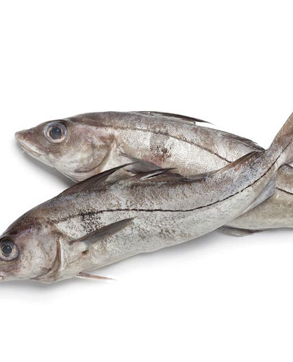 Homemade Fish Stock Recipe
