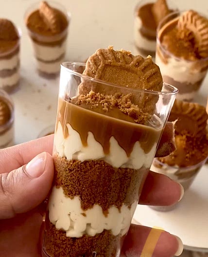 Biscoff Cheesecake Cups (no-bake)