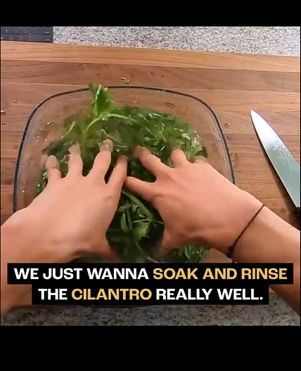 Green cilantro sauce