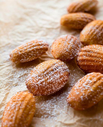 Madeleines