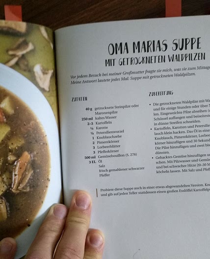Getr Waldpilze Suppe