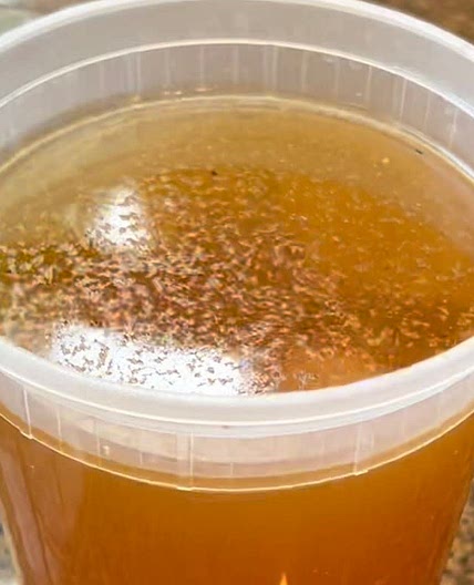 Chicken Stock