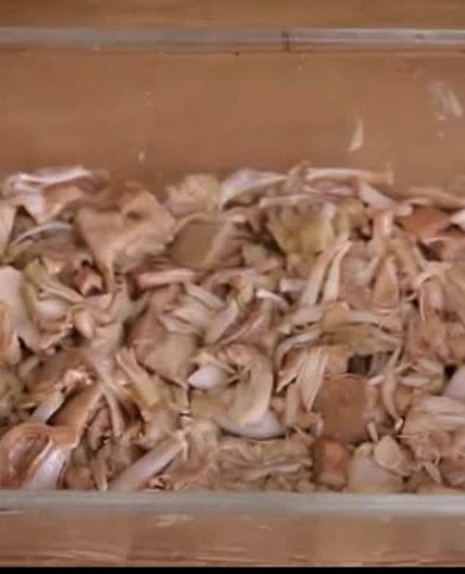 PKU Kalua Jackfruit