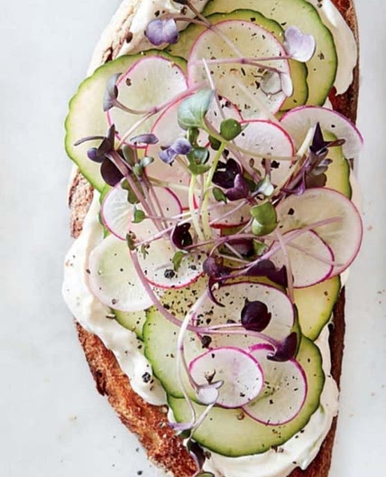 cucumber toasts  with  radishes  & sprouts