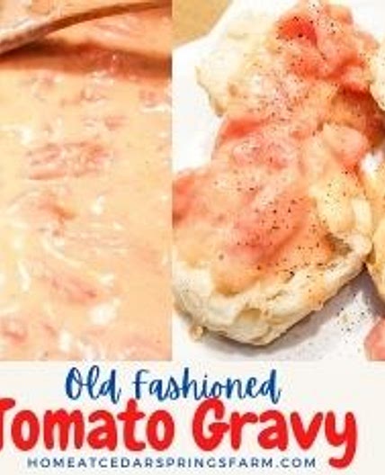 Southern Tomato Gravy