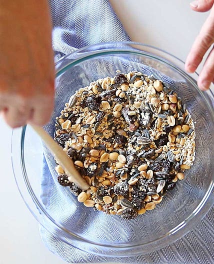DIY Suet Cakes