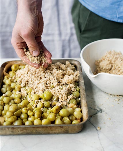 GOOSEBERRY CRUMBLE SLICE
