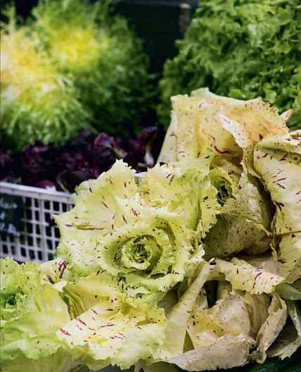 GREENGROCER GREEN SALAD