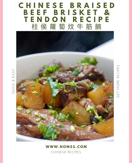 Chinese Braised Beef Brisket and Tendon Recipe 柱侯蘿蔔炆牛筋腩