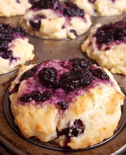 Lemony Blueberry Muffin Recipe