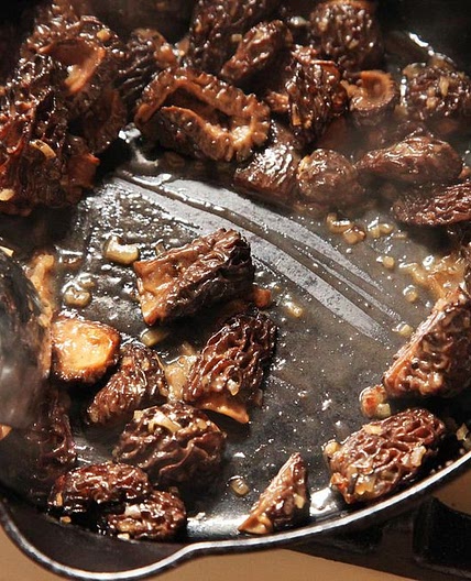 Sautéed Morel Mushrooms Recipe