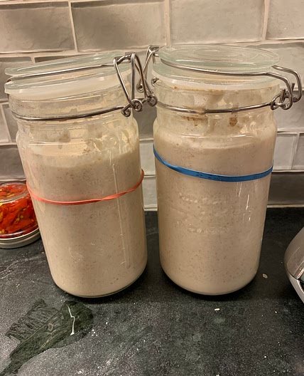 Sourdough Starter