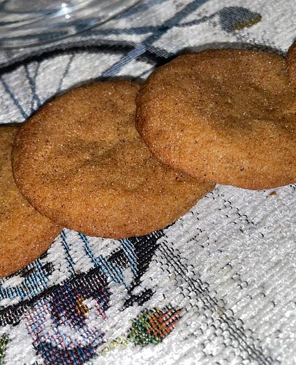 RJ’s Favorite Snickerdoodles