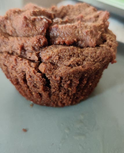 Low Carb Chocolate Muffins