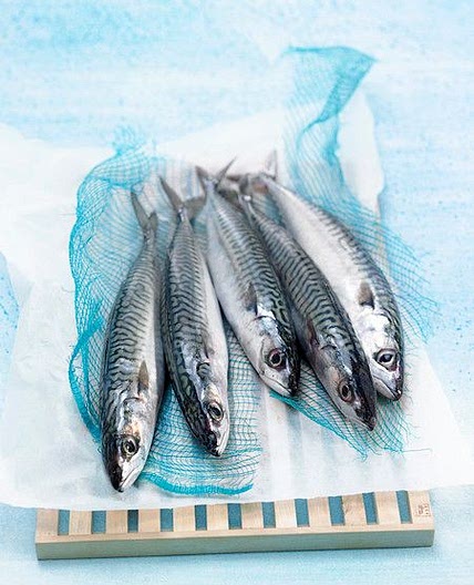 Maquereaux au vin