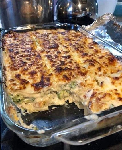 Chicken and broccoli lasagna