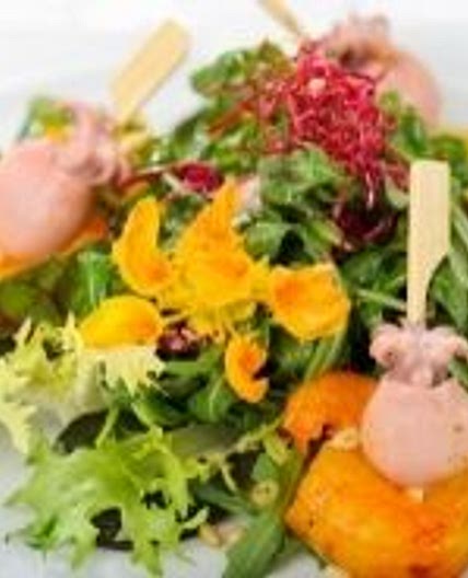 Salad with baby squid