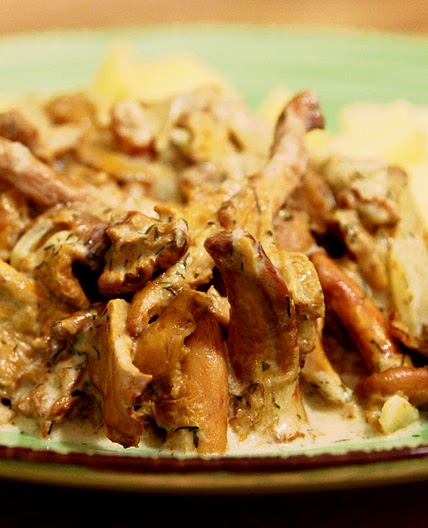 Lithuanian chanterelle recipe
