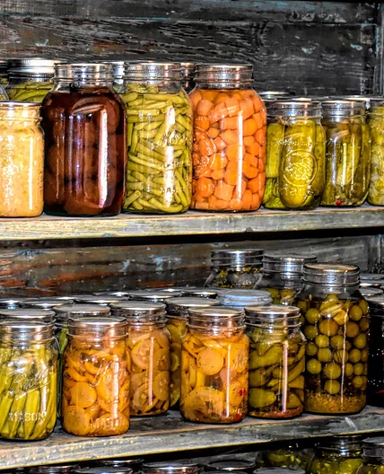 You Can Pickle That: the Universal Pickle Recipe – Mother Earth News