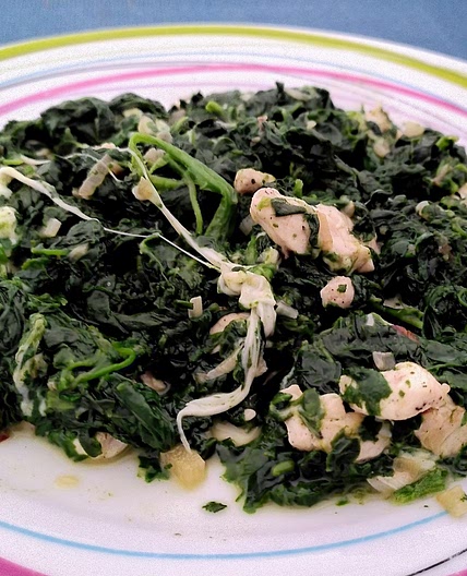 Poulet aux épinards et mozza