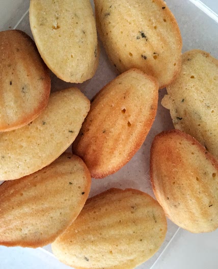 Lemon thyme Madeleines