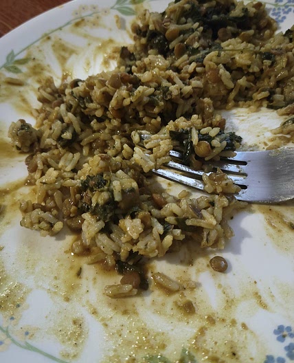 Spinach and lentil "Tikka masala"