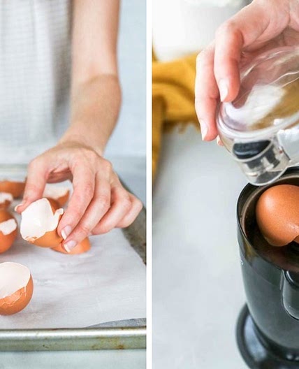 Egg shell calcium 
