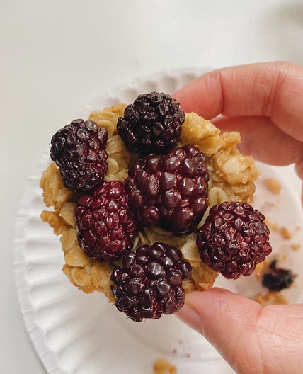 Mini Blackberry Crisps