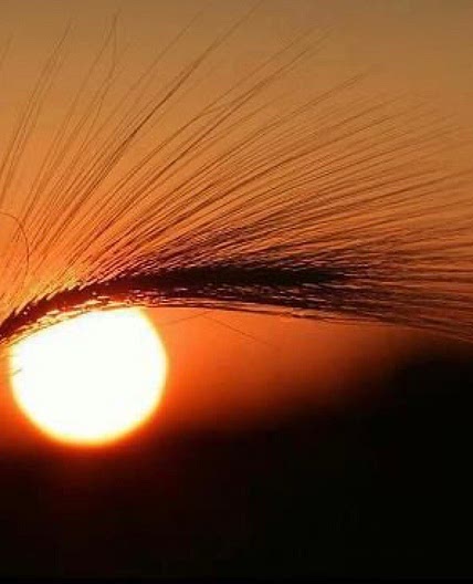 Dreamy shared by Hippy on We Heart It