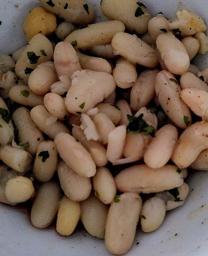 Salade de haricot tiedes