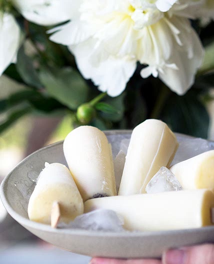 Vanilla Milk Ices