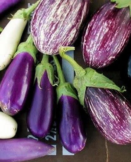 Caserecci alle melanzane