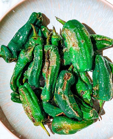 PIMIENTOS DE PADRÒN