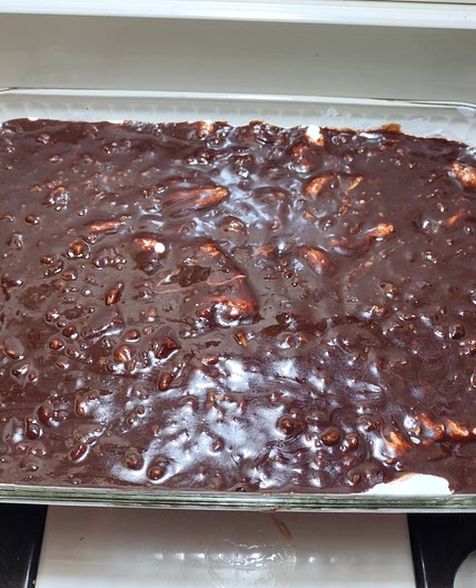 Mississippi Mud Cake