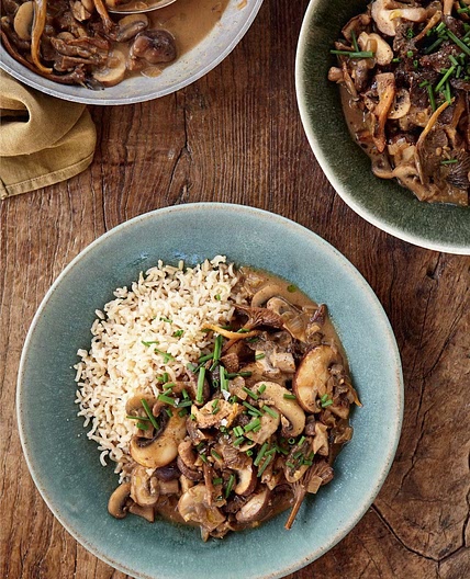 MUSHROOM STROGANOFF