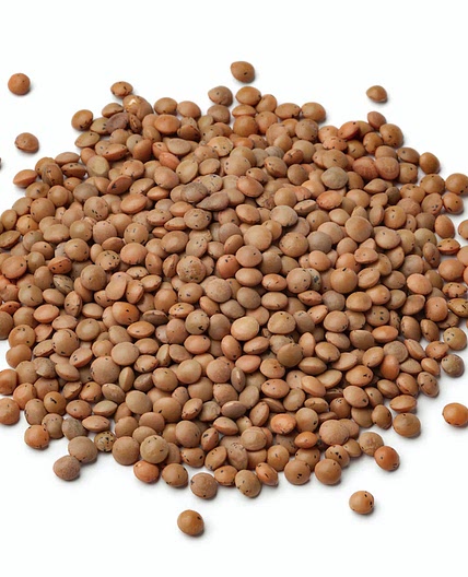 Braised lentils by Nigel Slater