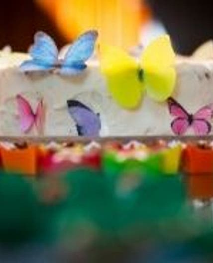 Butterfly cake