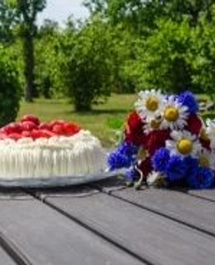 Strawberry garden cake