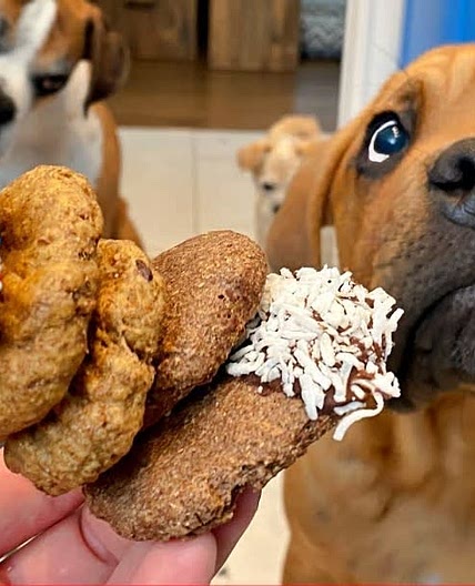 Rocky Kanaka's Peanut Butter Dog Cookies