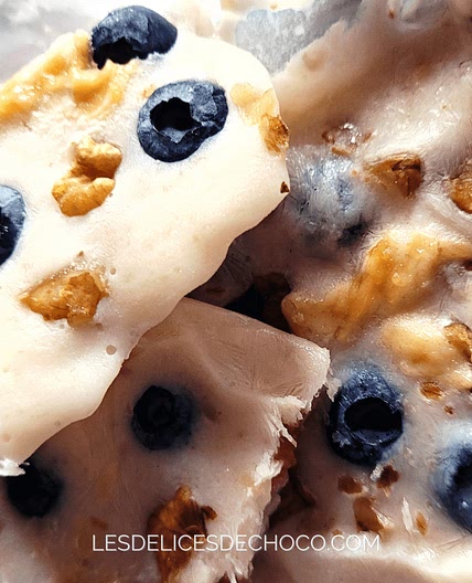RECETTE FACILE DE YAOURT GLACÉ HEALTHY – 4 INGREDIENTS
