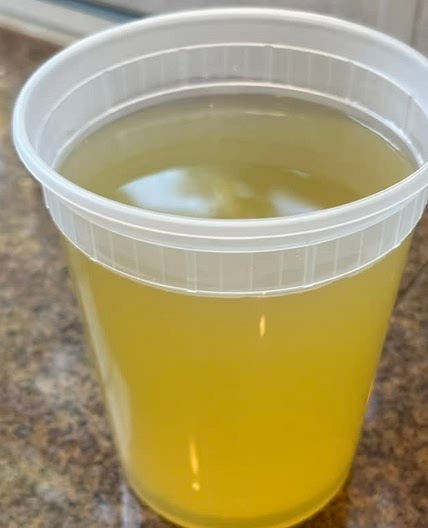 Shellfish Stock