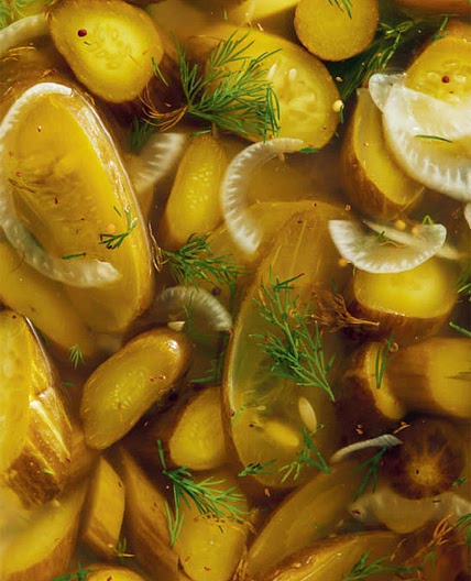 Bread and Butter Pickles