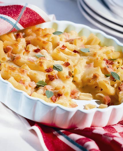 Nudel-Schinken-Gratin