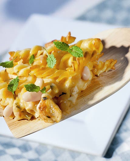 Nudel-Hähnchen-Gratin mit weißen Bohnen